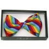 Diagonal Rainbow Stripe Bow Tie