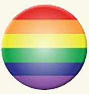 Pride Flag Circle Bumper Sticker