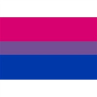 Magnet - Bi Pride Flag