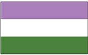 Genderqueer Flag Bumper Sticker