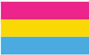 Pansexual Flag Bumper Sticker
