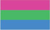 Polysexual Flag Bumper Sticker