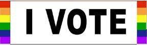 I Vote Bumper Sticker